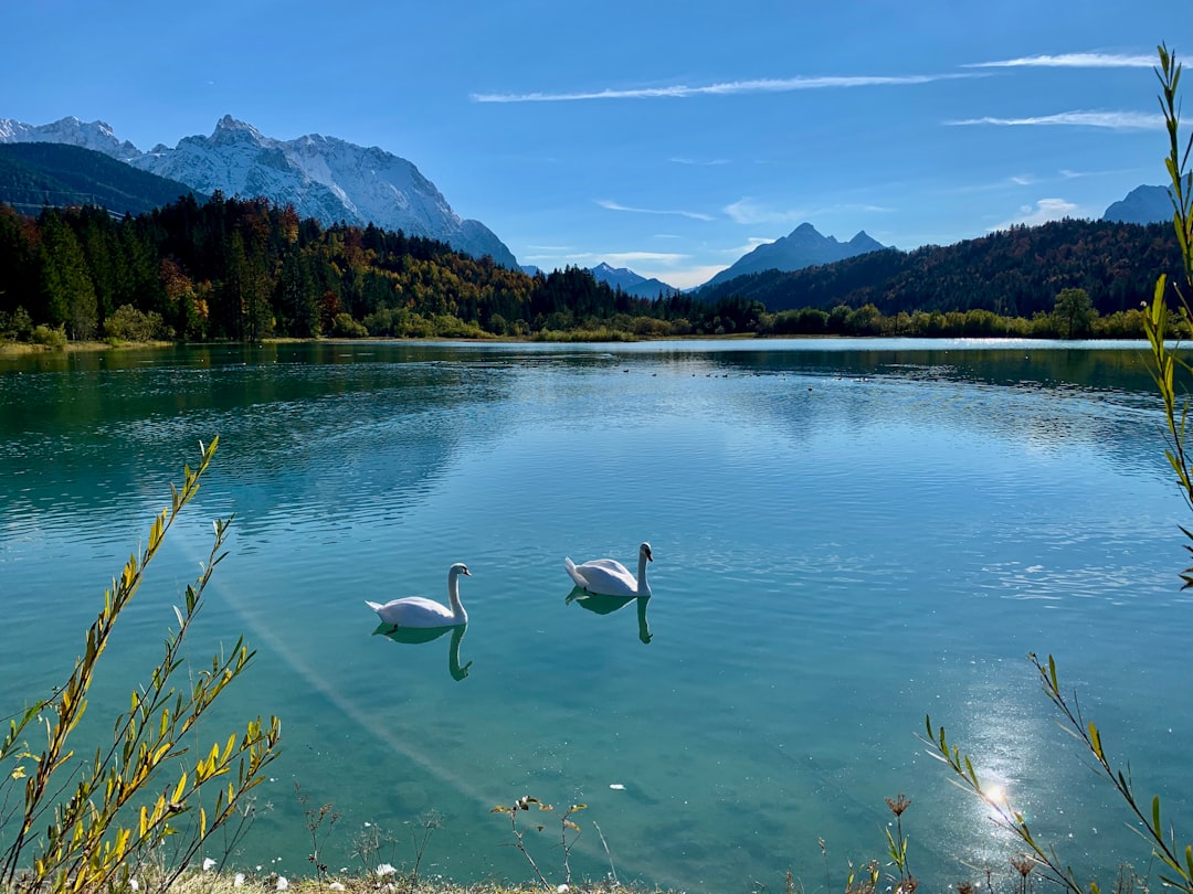 Photo sunny day