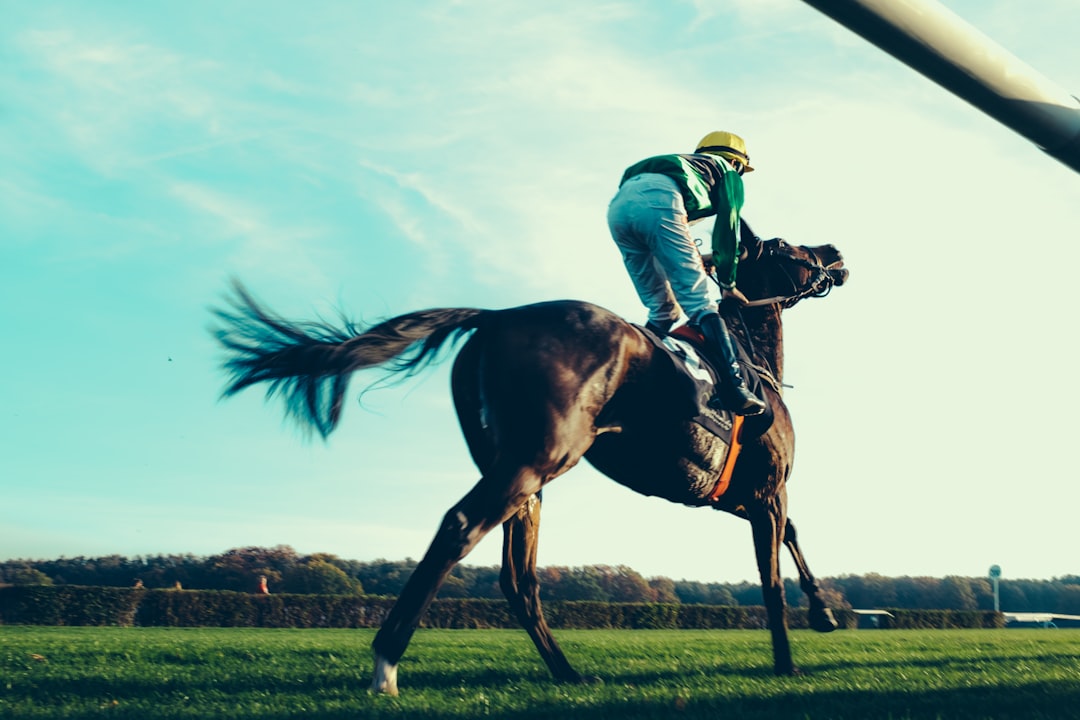 Photo horse racing